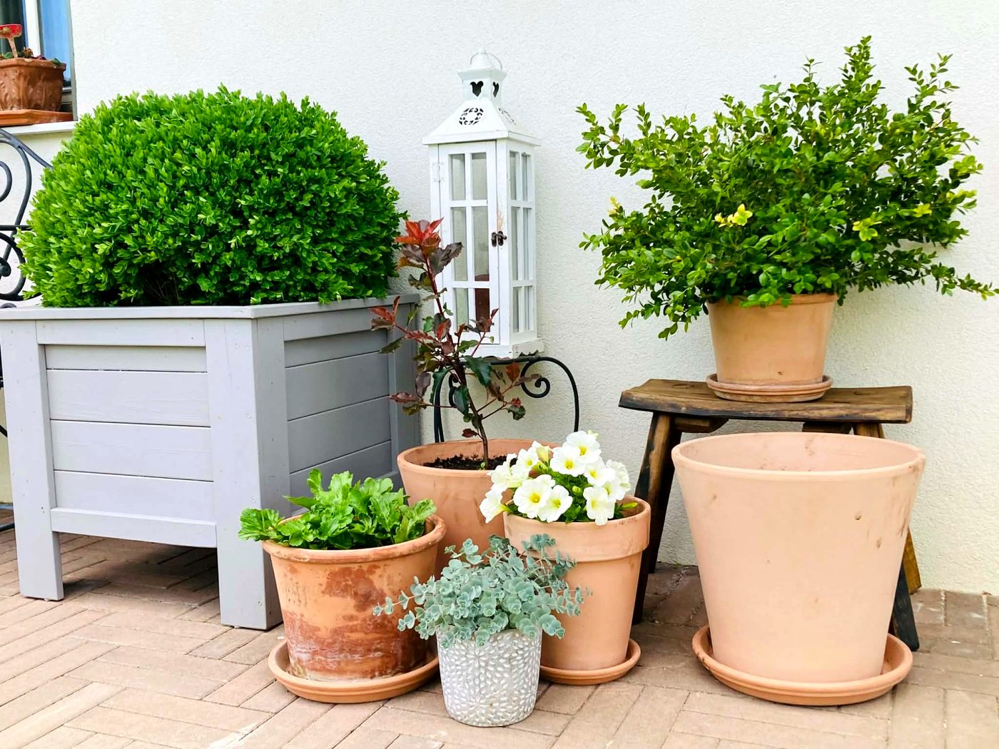 Terrakotta cserepek a teraszon fehér fallal